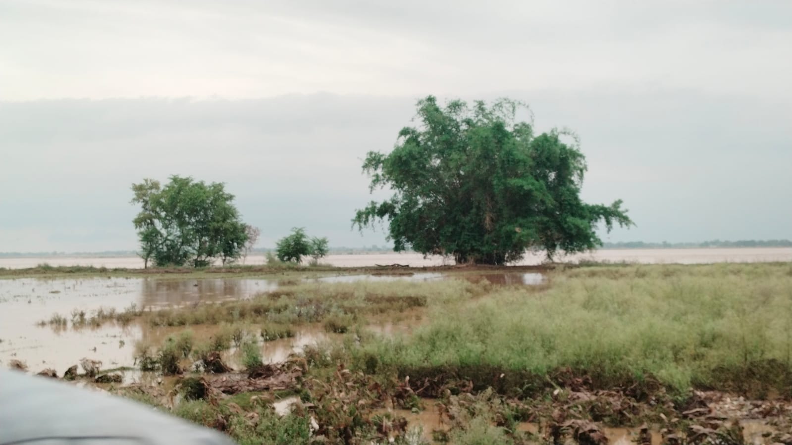 गाँव में बाढ़ img 20250820 wa0018