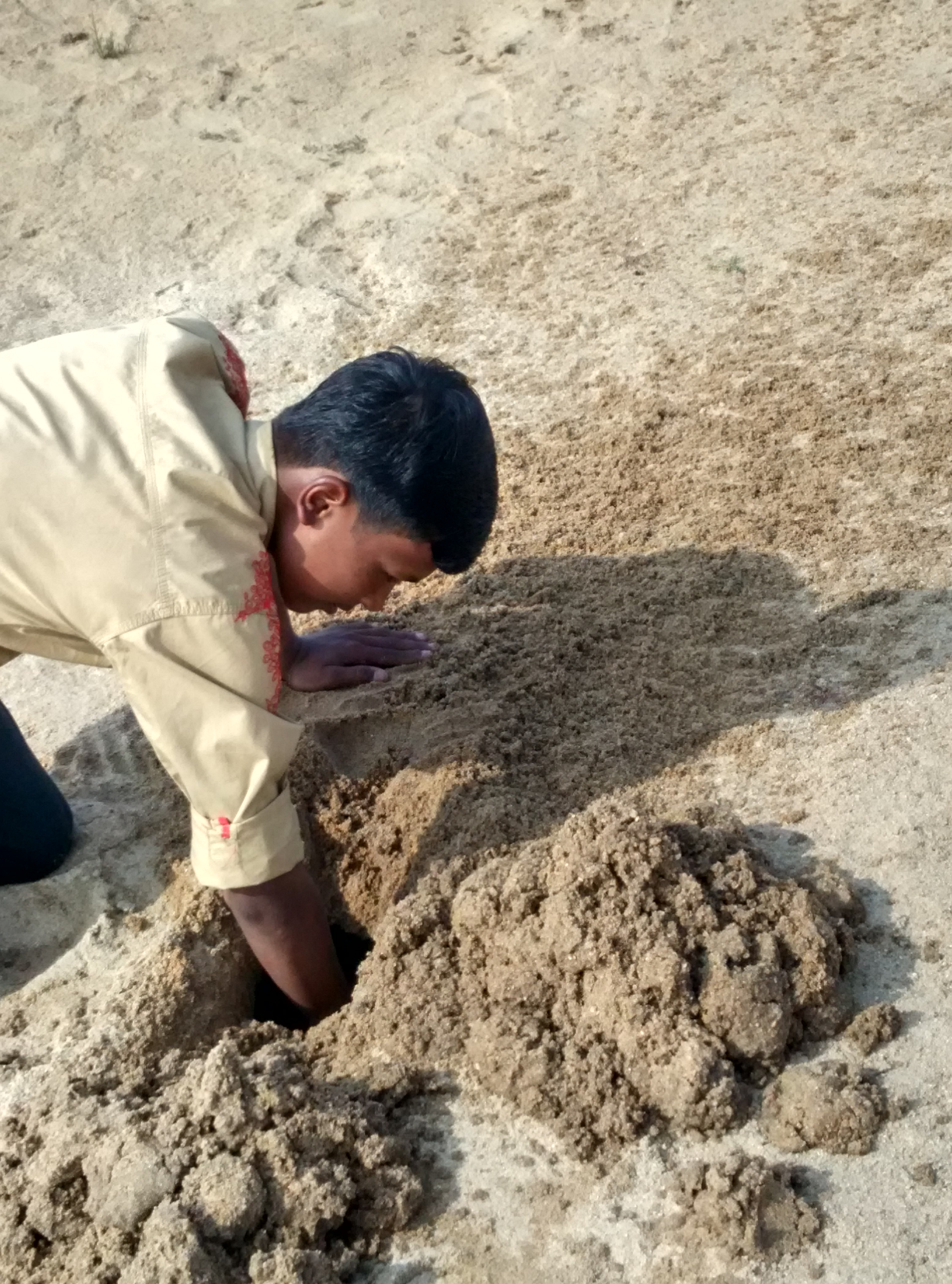 img 20171231 132341 hdr