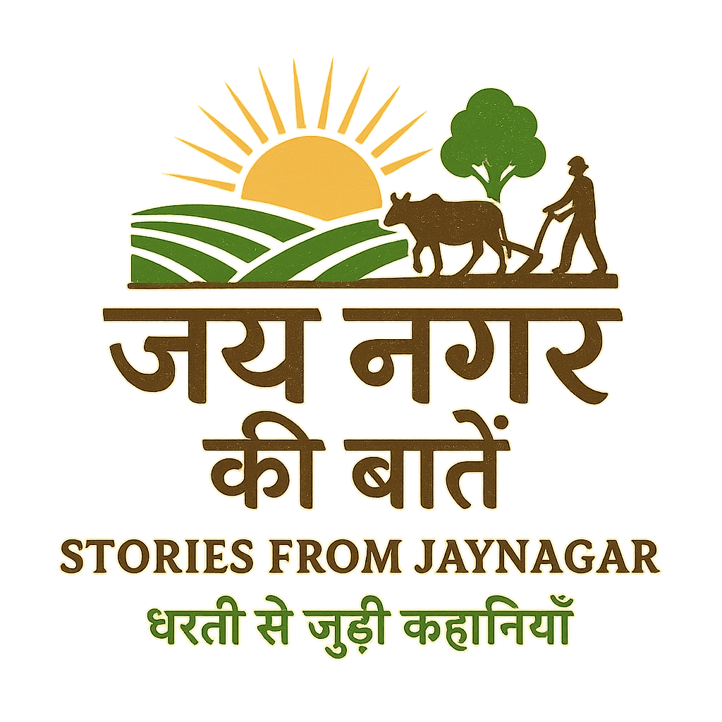 sunrise over jay nagar fields